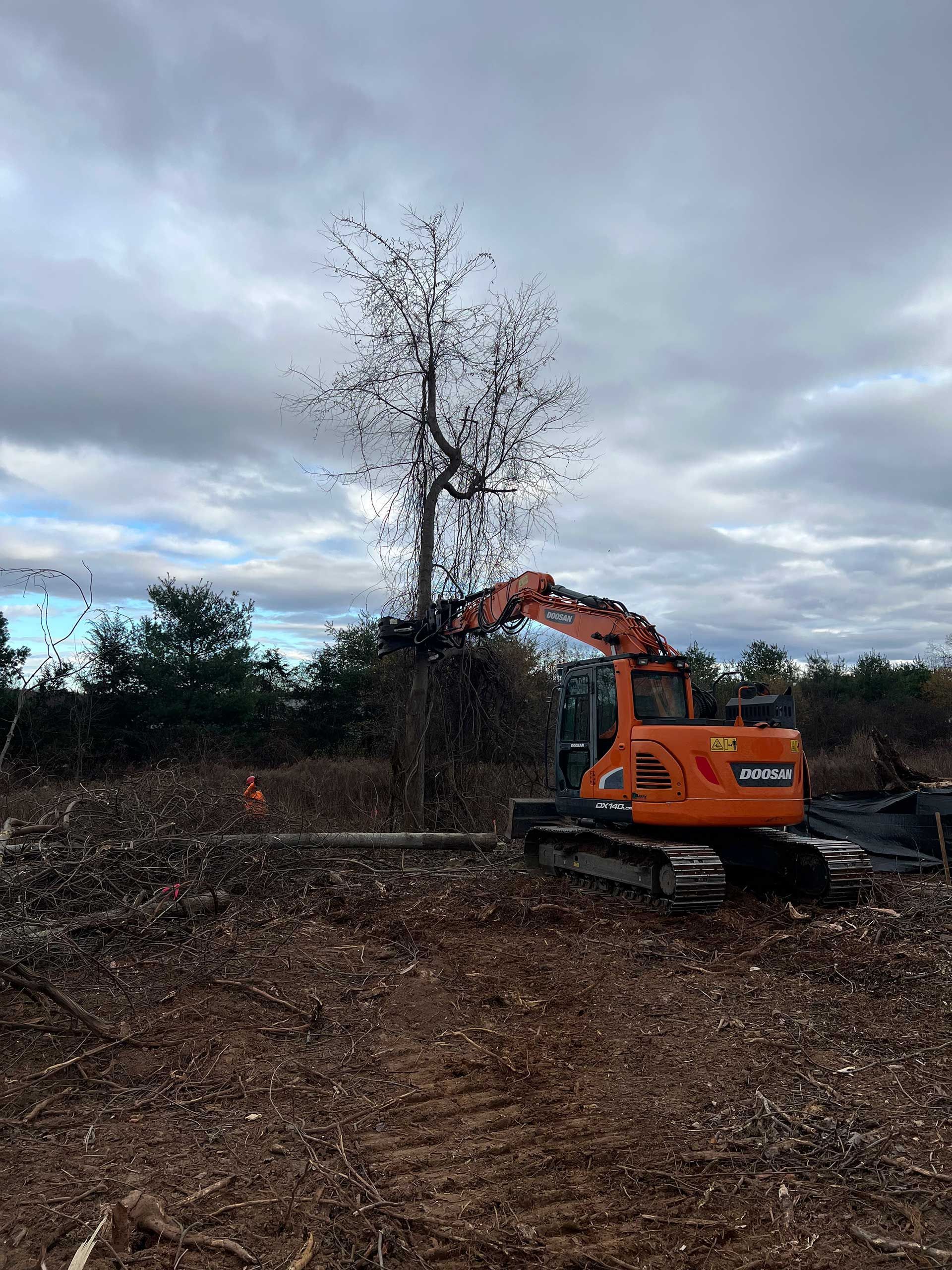 an orange excavator cuts down a tree in a clearing under a cloudy sky