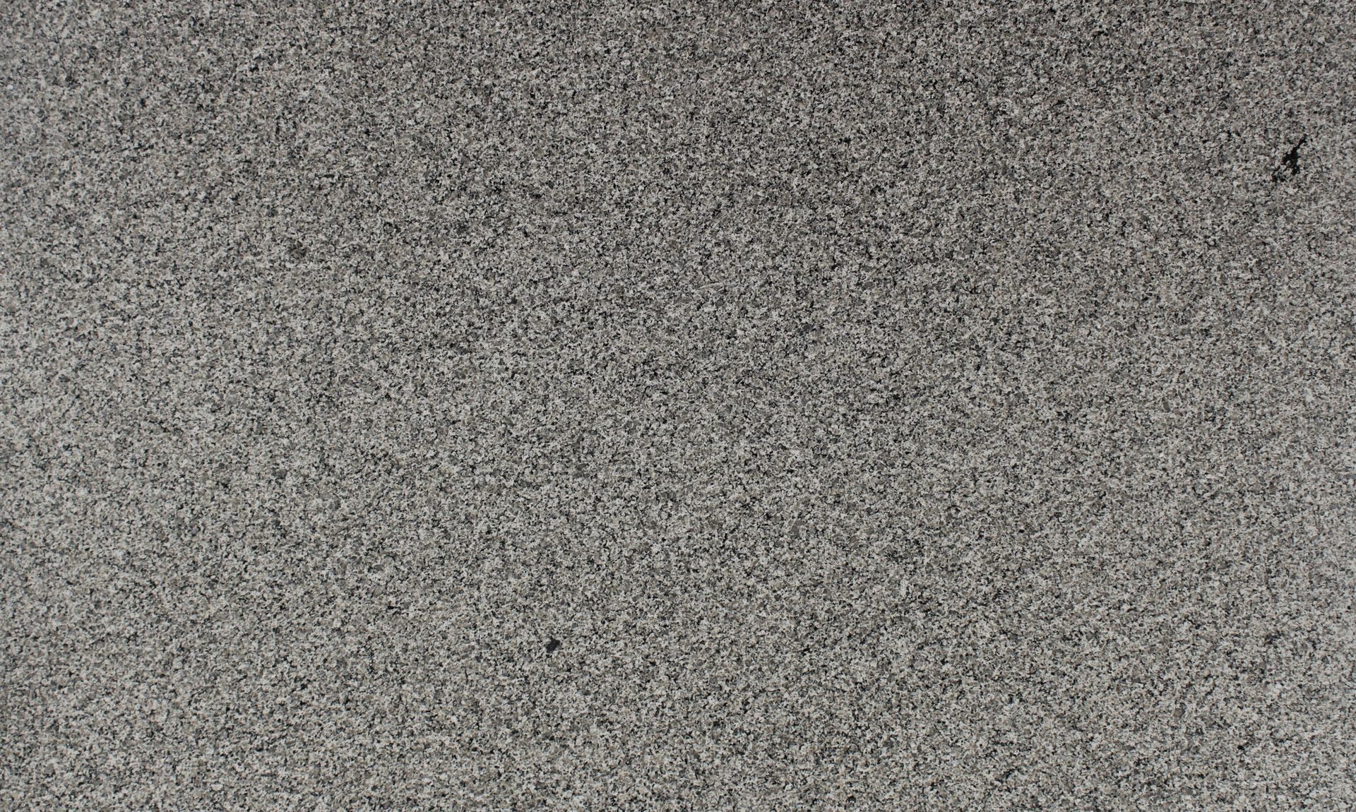Gray static noise texture with scattered black specks