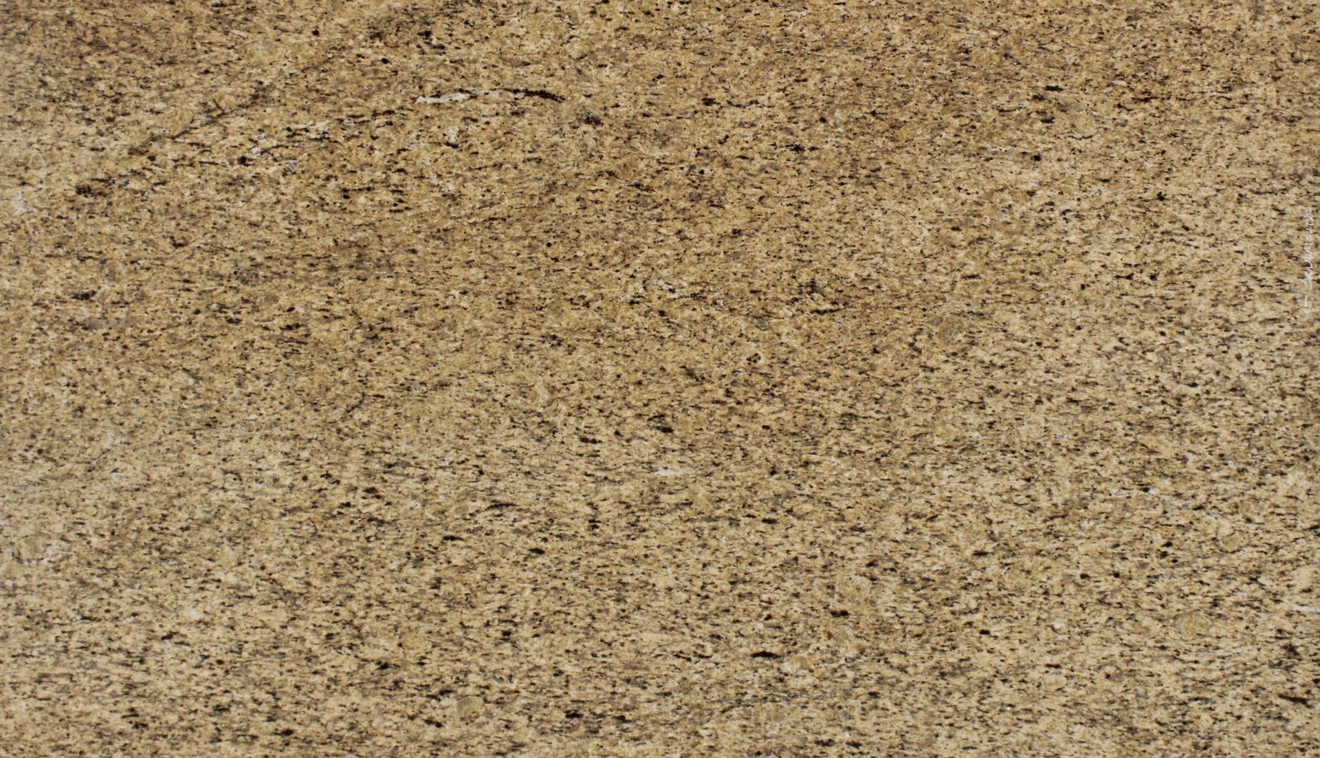 Close-up of tan speckled carpet texture
