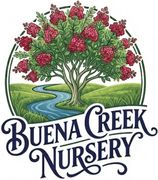 Buena Creek Nursery Logo