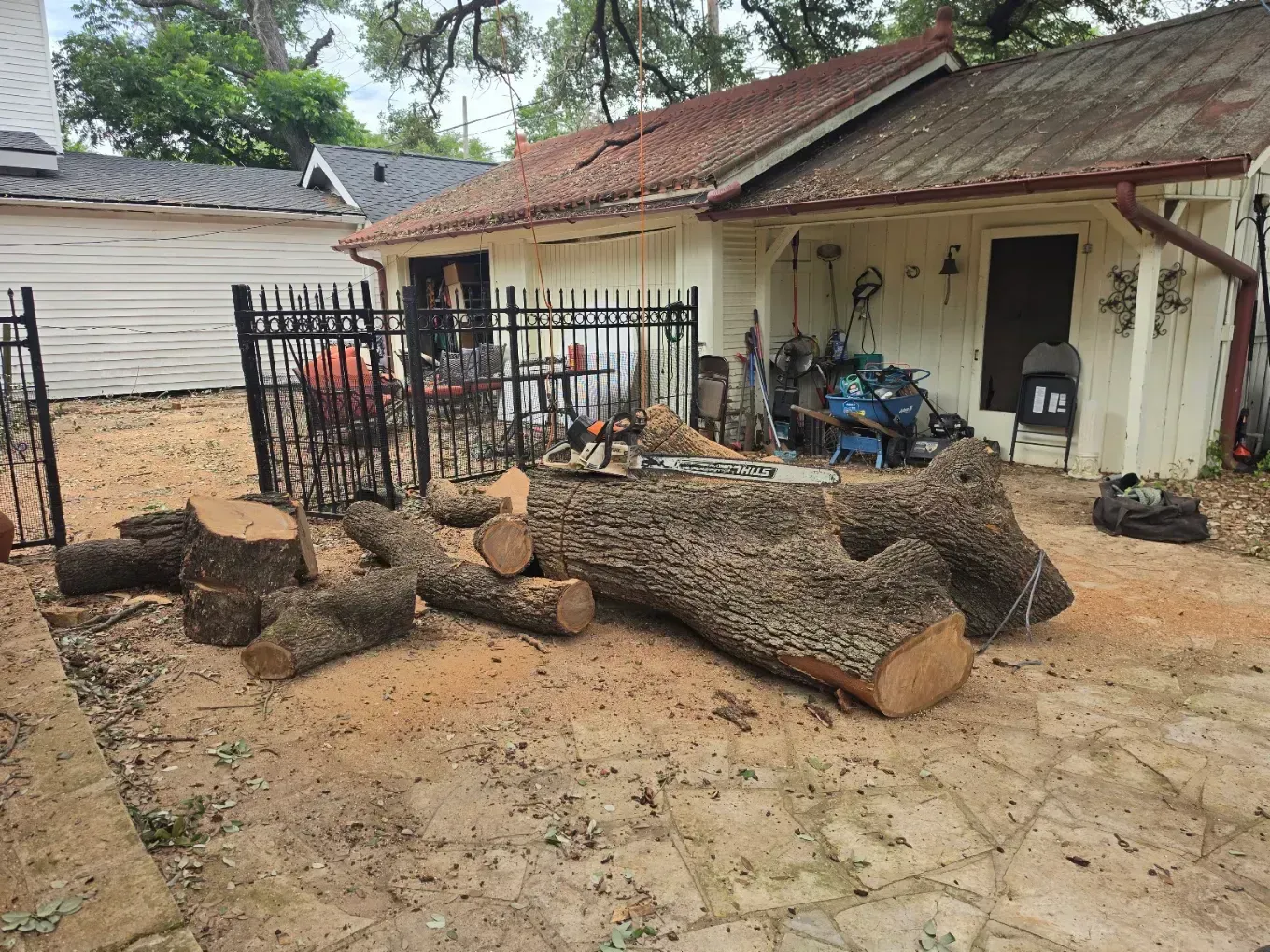 Cut logs piled in front of a house with a fenced yard and muddy ground.