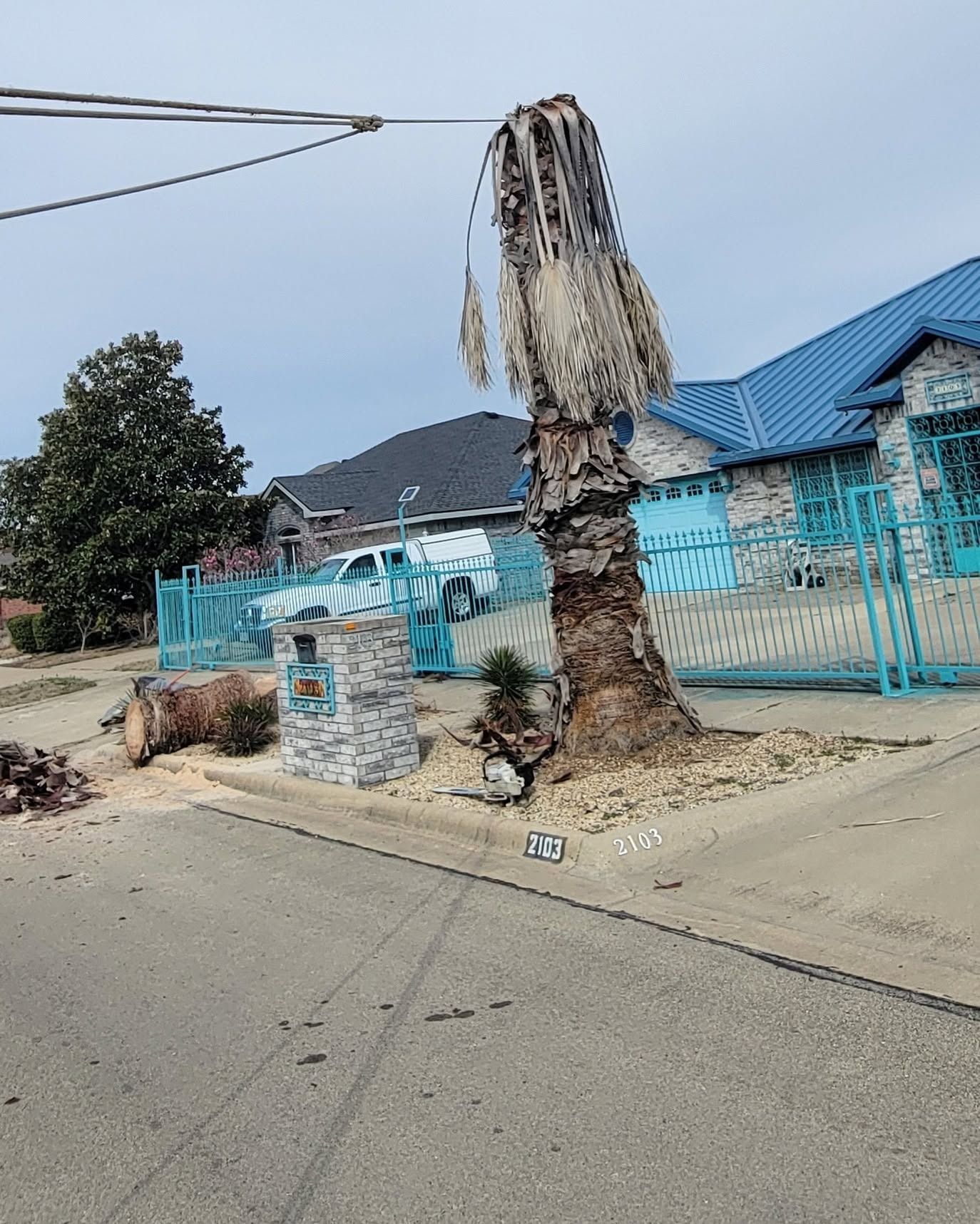 A dead palm tree stump stands by a blue fence and house along a quiet road.