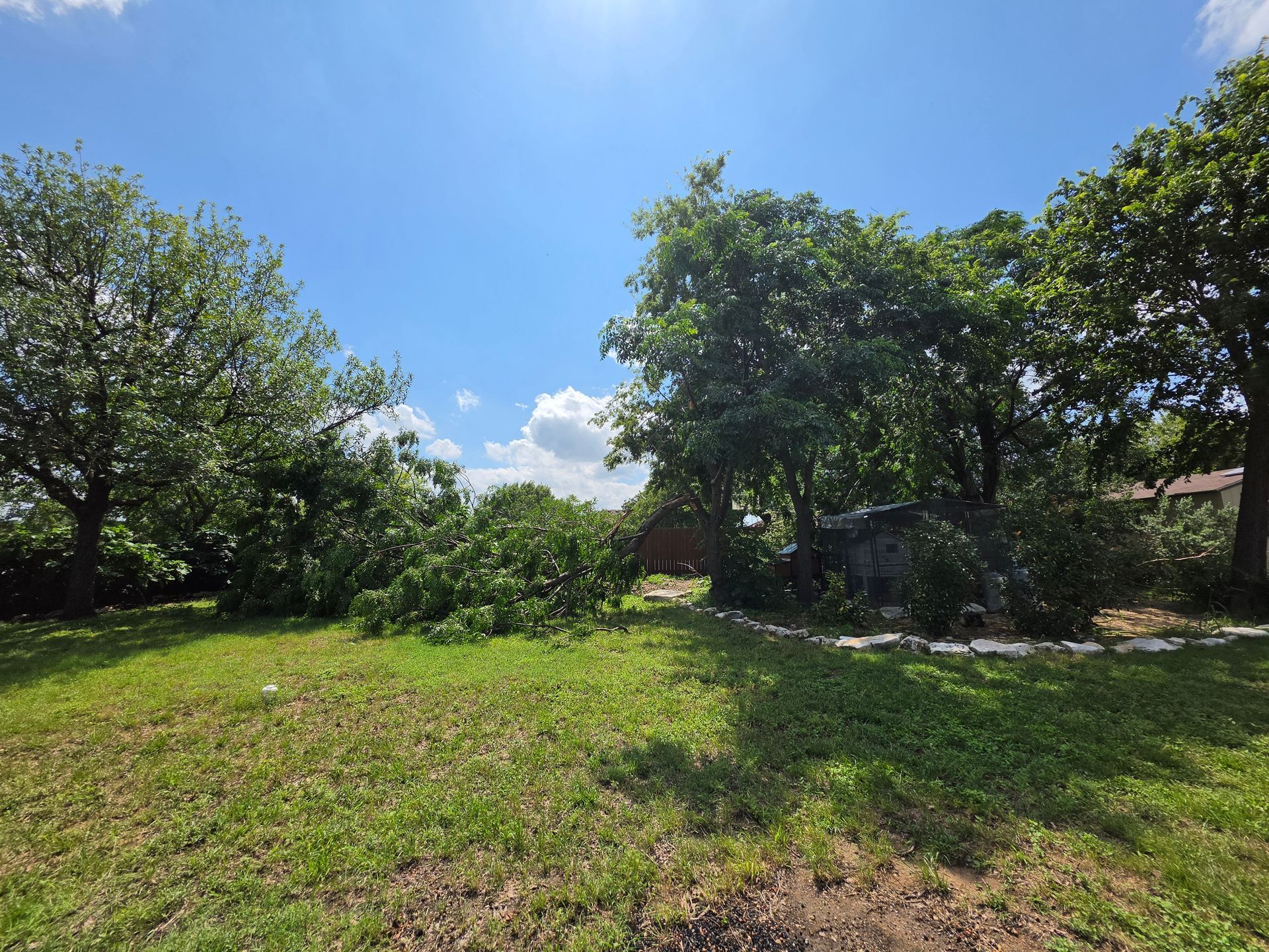Sunny grassy yard with trees and a blue sky, casting shade from large leafy branches.