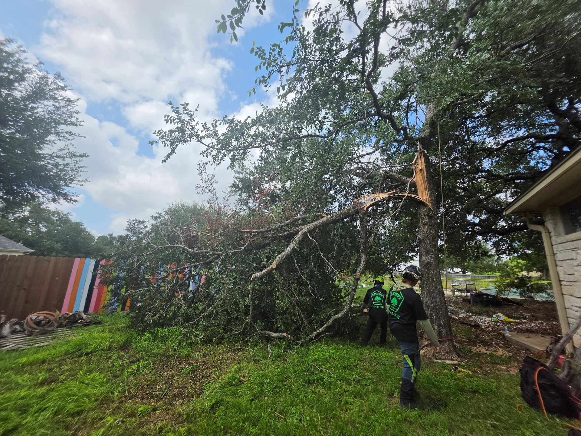 Person clearing a fallen tree branch in a yard beside a house, with storm debris and a cloudy sky.