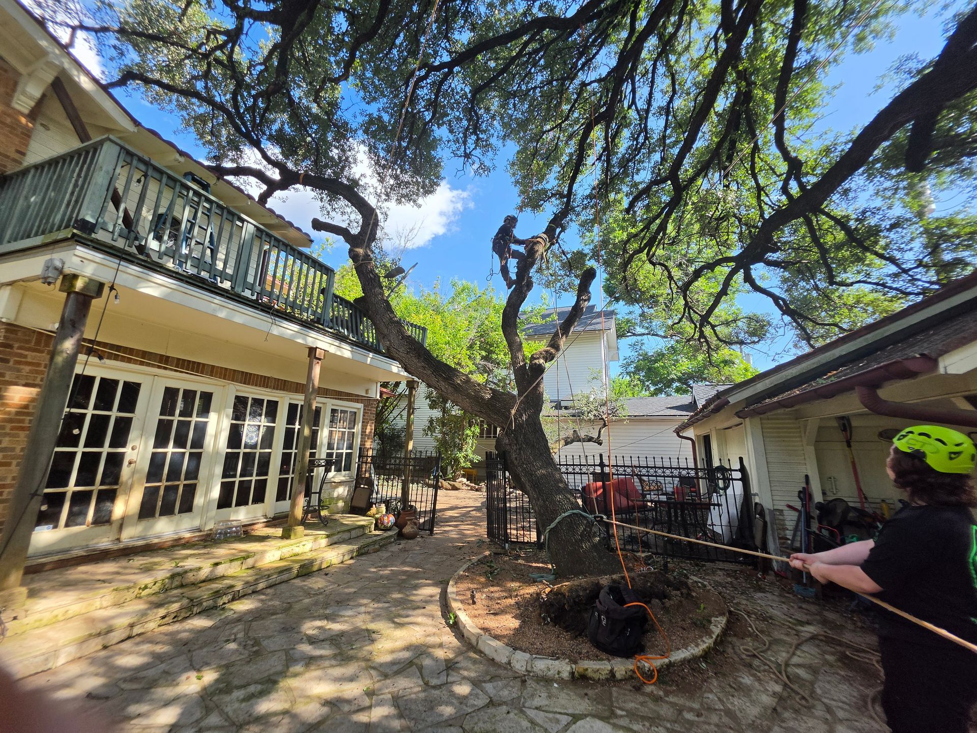 Person trimming a tree in a sunny courtyard beside a house with a balcony