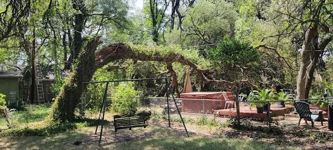 Shaded garden with a vine-covered arch, brick seating area, and trees in the background