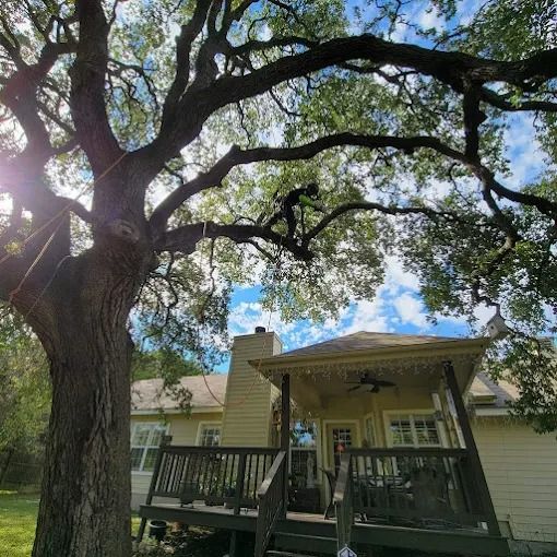 Large tree shading a porch on a beige house under a bright blue sky