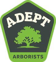 Adept Arborists logo: dark hexagon with green tree and border, white ADEPT text, green ARBORISTS below