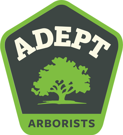 Adept Arborists logo: dark hexagon with green tree and border, white ADEPT text, green ARBORISTS below