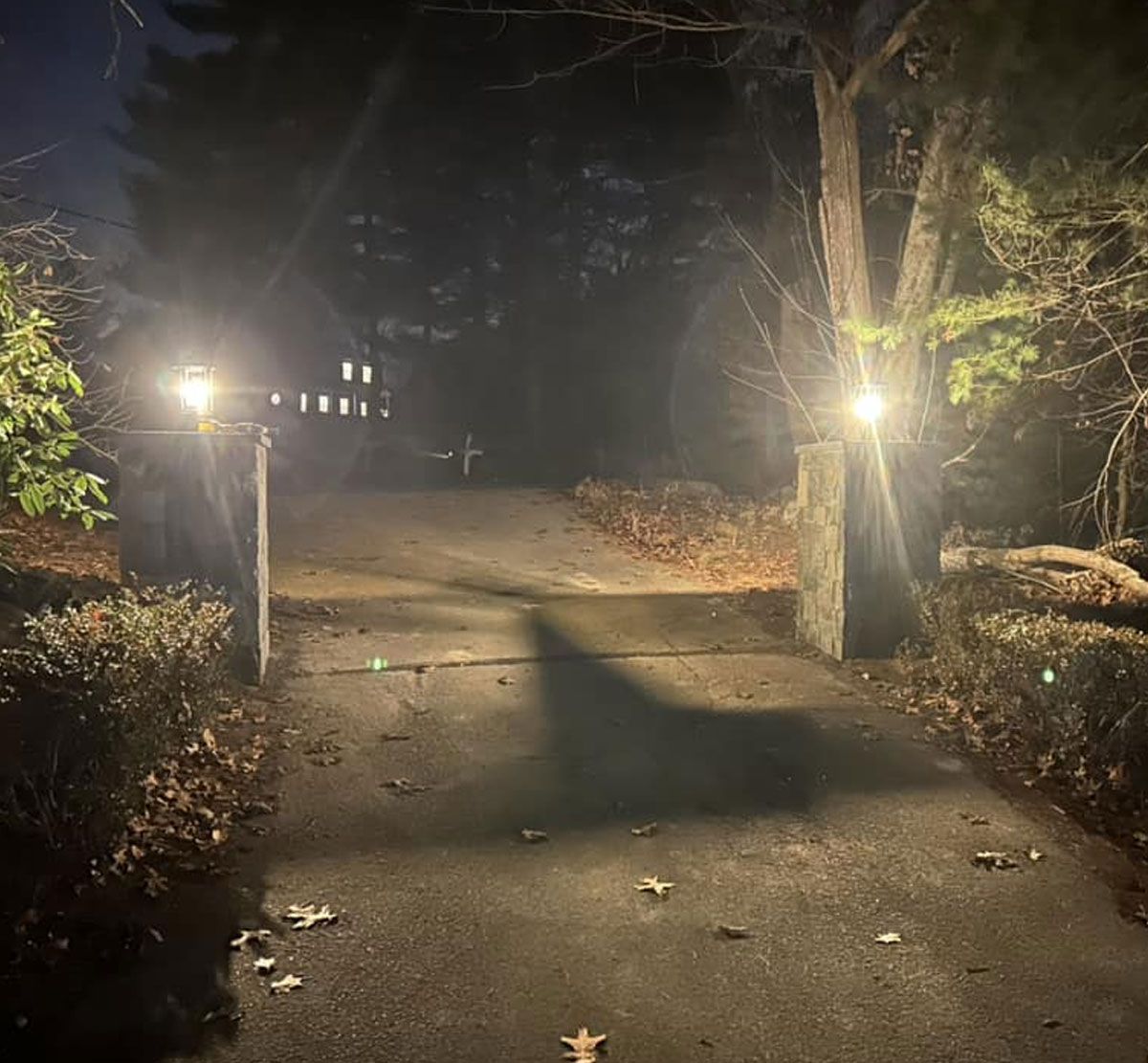 Dimly lit path at night with two bright lamps, trees, and fallen leaves leading uphill