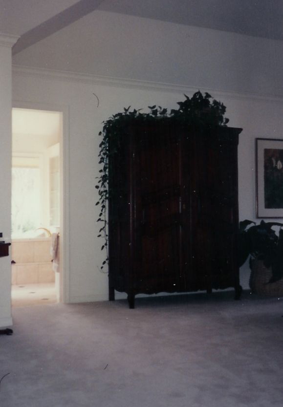 A room with a wardrobe and a picture on the wall