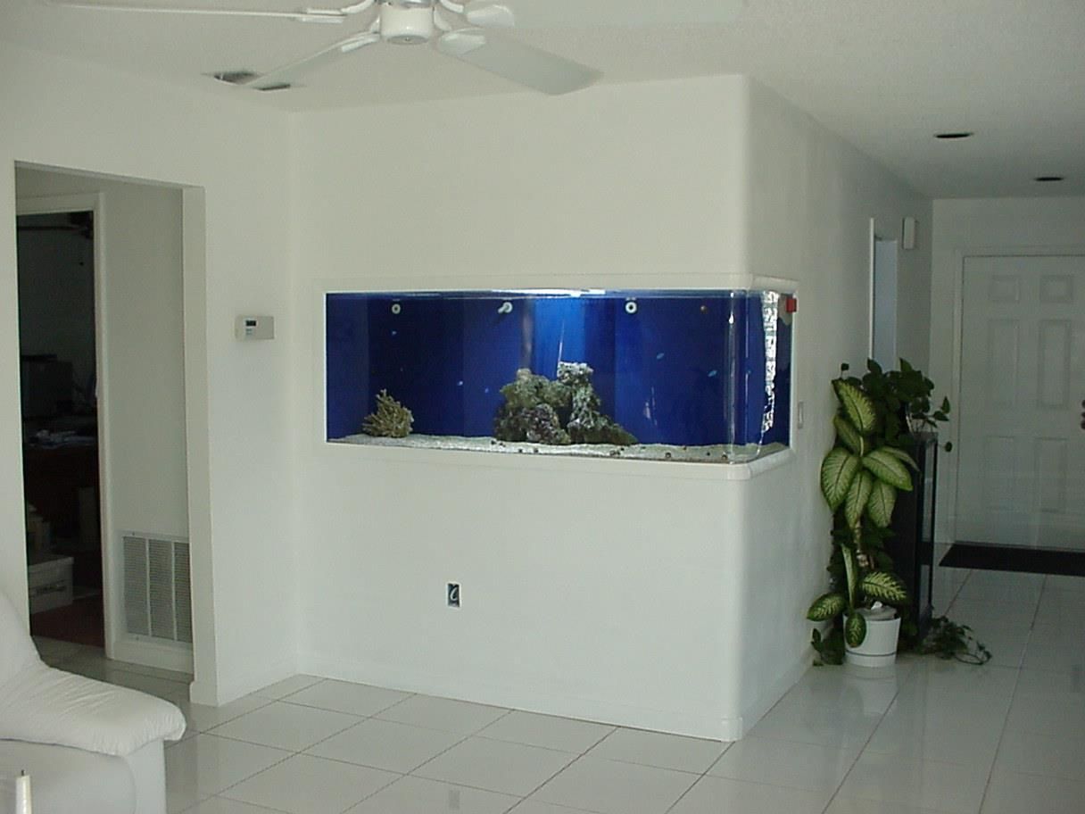 Built-in aquarium in a white wall corner, lit with blue light, visible through glass. Interior with floor tiles.