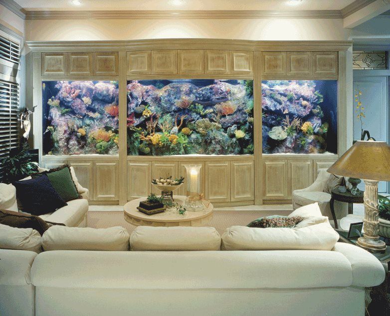 Large aquarium built into a wall in a living room, with coral and fish visible. White furniture.