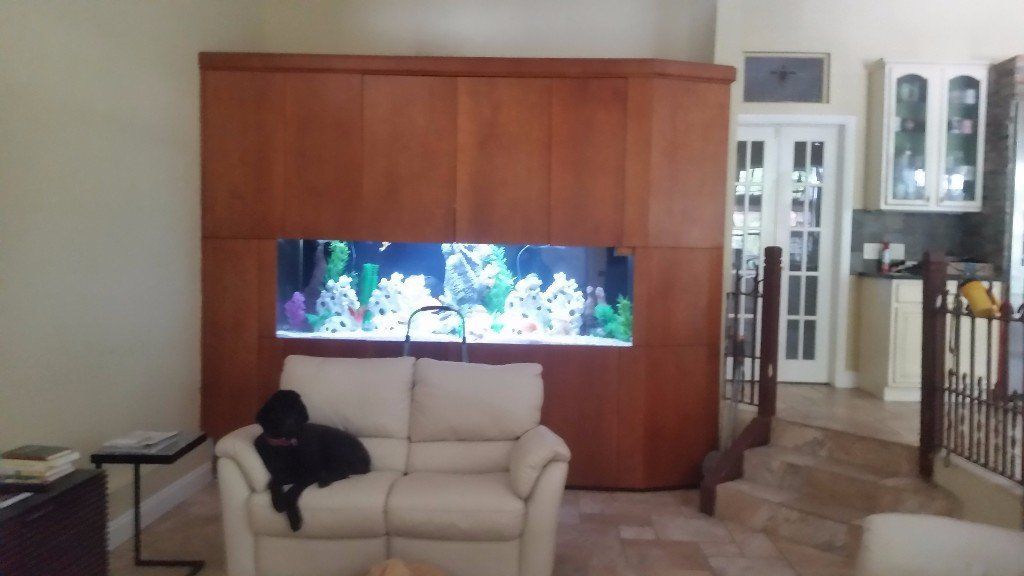 A large aquarium built into wooden cabinets with a dog on a couch in front of it.