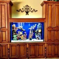 Aquarium built into wooden cabinets with coral and fish, a decorative wall piece above.