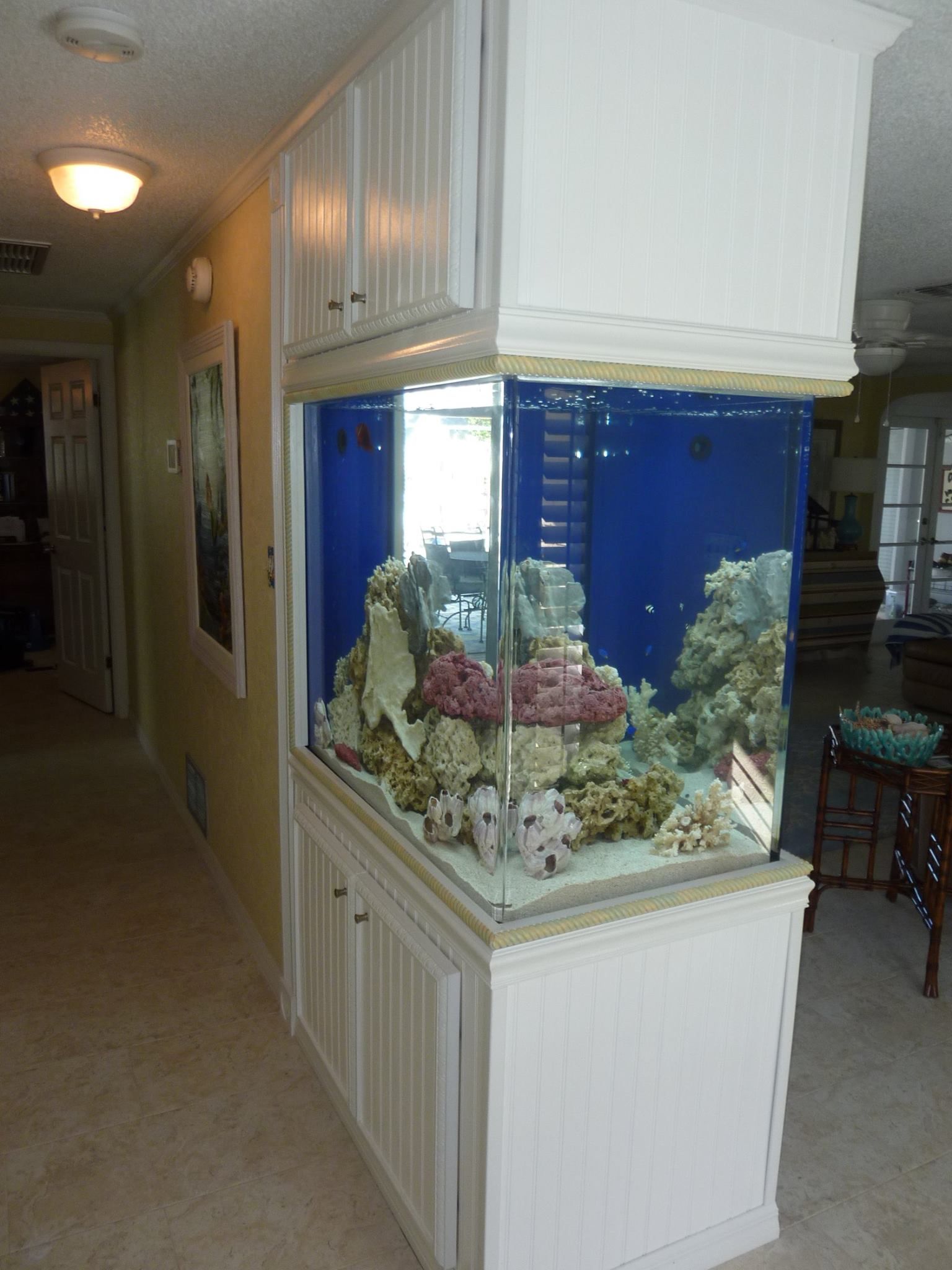 A large aquarium built into a wall, with white cabinetry and colorful coral and fish inside.
