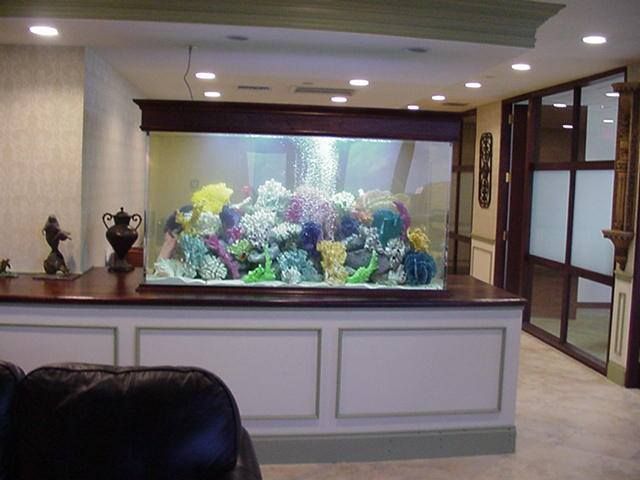Large aquarium built into a wall, filled with coral and fish. Wooden trim and recessed lighting.