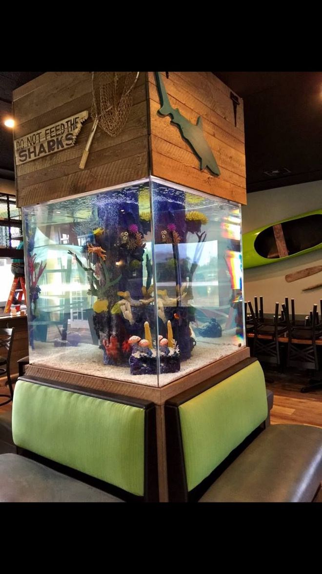 Large aquarium with colorful coral and fish, in a restaurant. The tank is surrounded by green cushions and wood paneling.