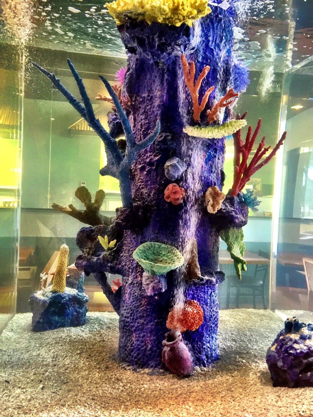 Aquarium with purple, coral-like structure; colorful artificial plants; sandy bottom.