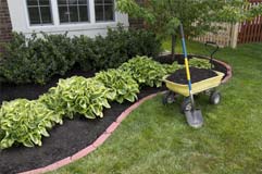 soil-and-mulch