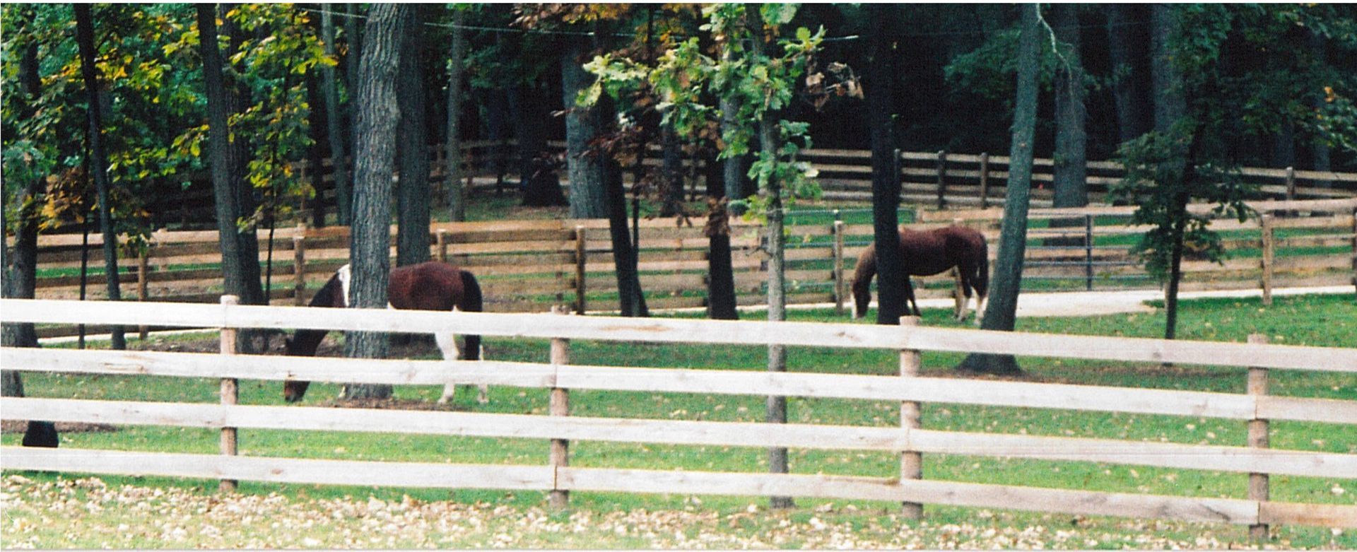 Rail fence