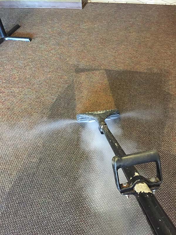 Dynamic Steam Carpet Cleaners Tile Cleaning St. Petersburg