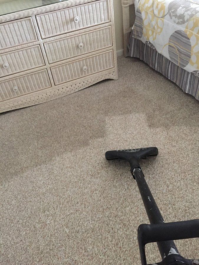 Dynamic Steam Carpet Cleaners Tile Cleaning St. Petersburg