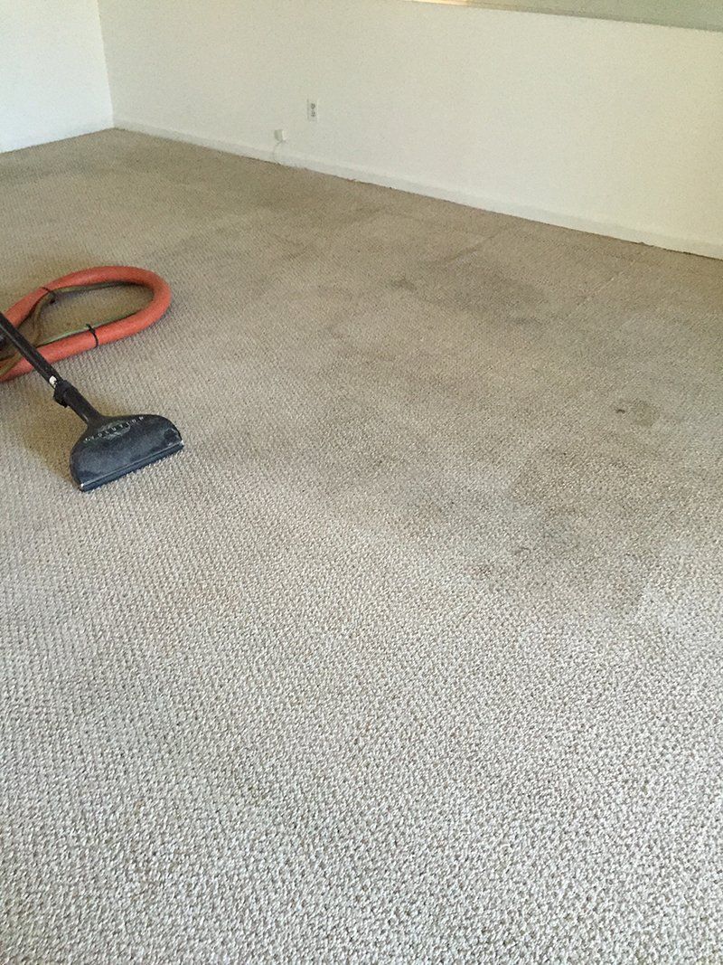 Dynamic Steam Carpet Cleaners Tile Cleaning St. Petersburg