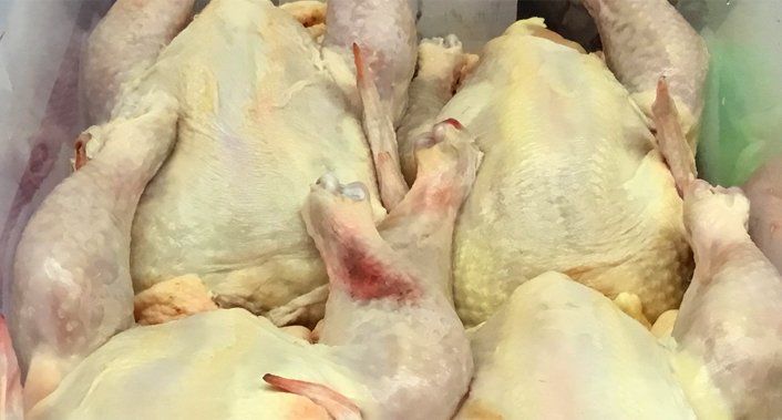 Chicken meat