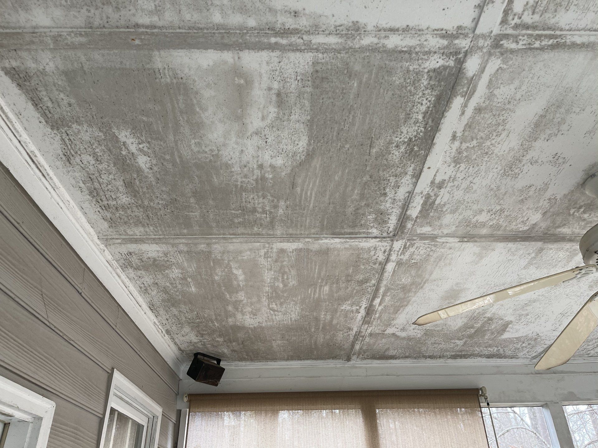 johnson-pressure-wash-before-and-after-gallery-017