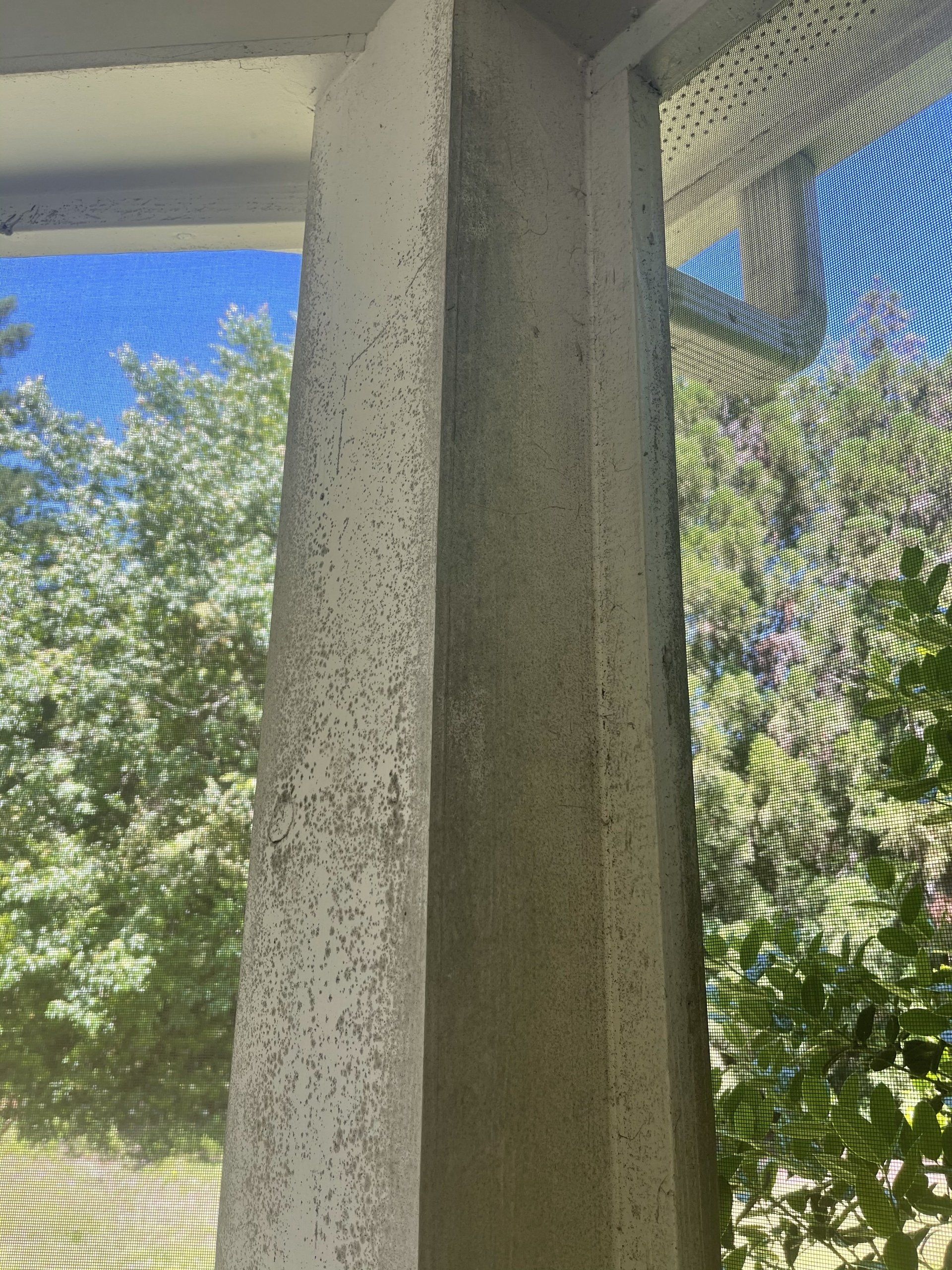 johnson-pressure-wash-before-and-after-gallery-019