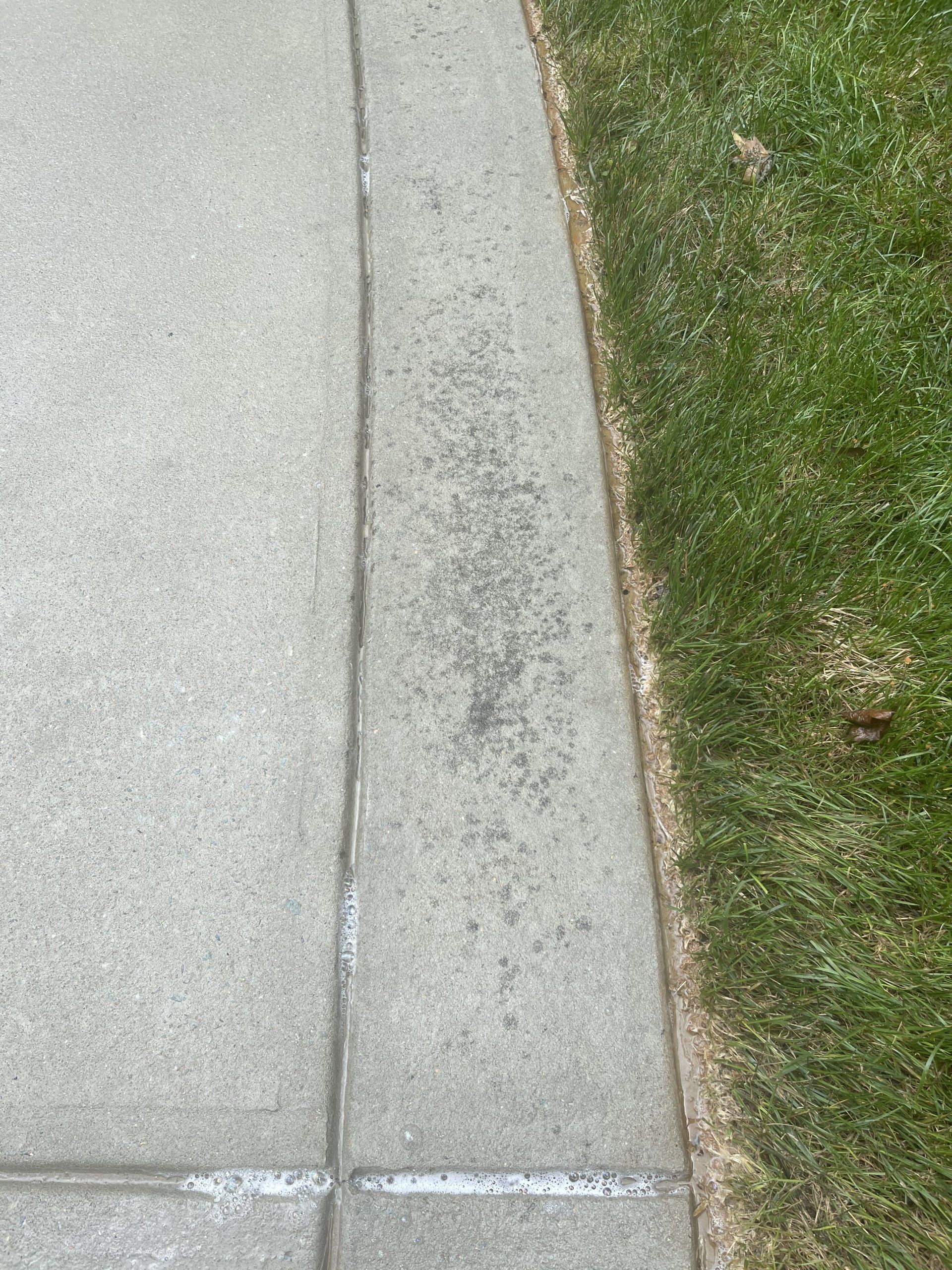 johnson-pressure-wash-before-and-after-gallery-023