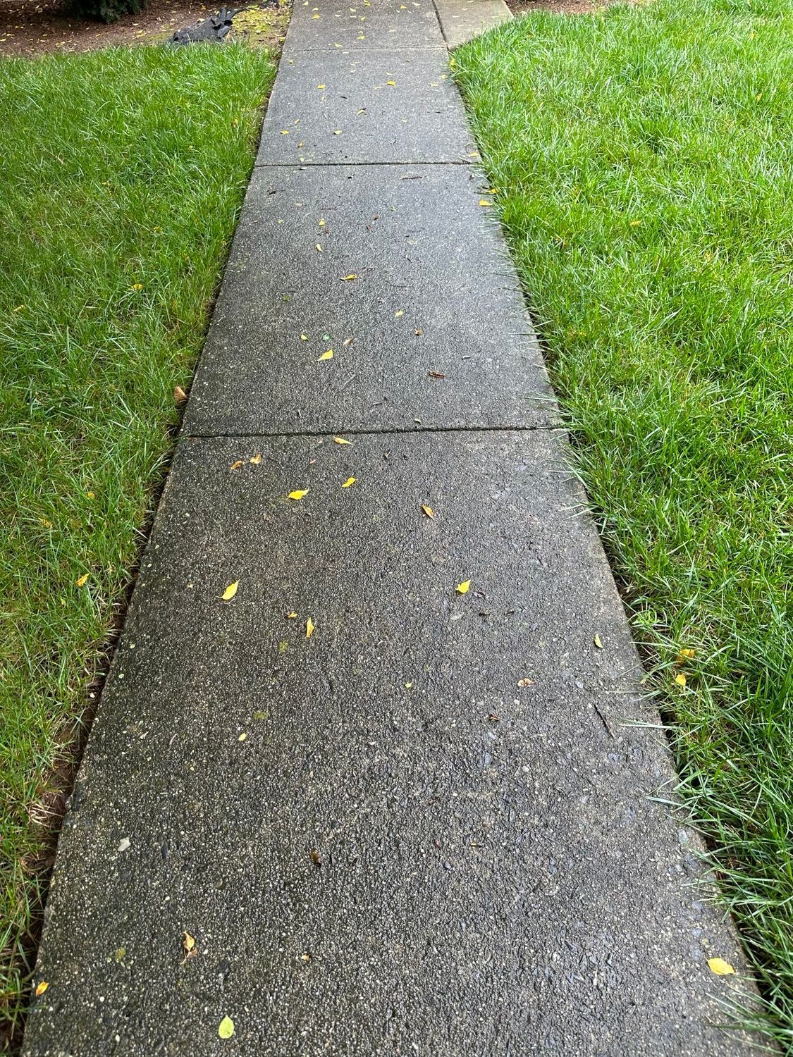Pressure washing