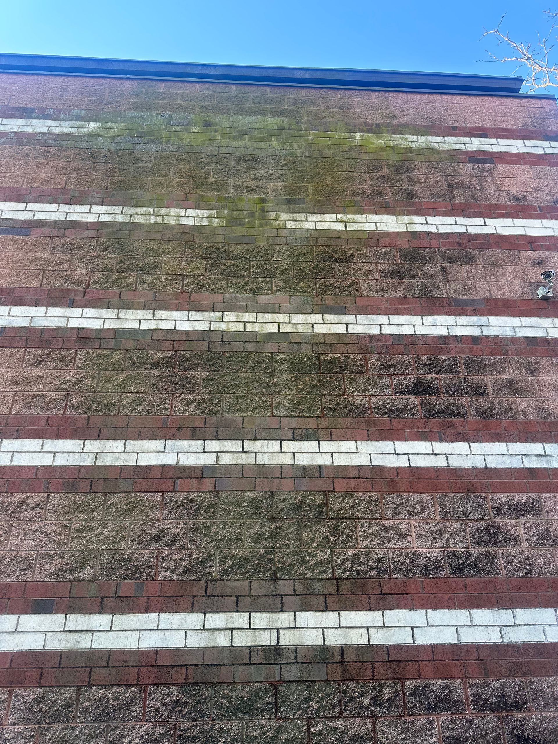 a brick wall with white stripes and moss