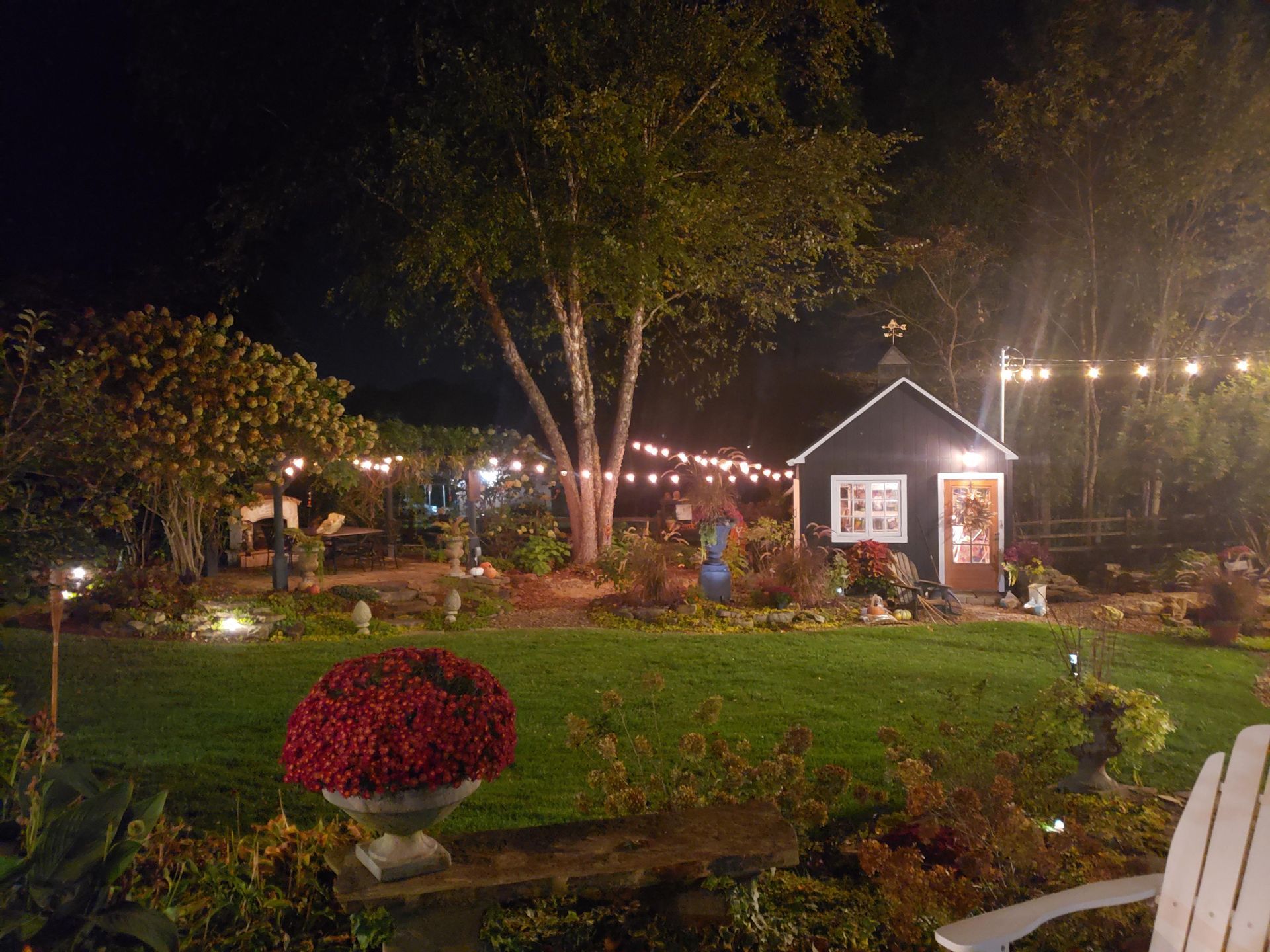 Nighttime garden scene with a small black shed, string lights, and flowerbeds.