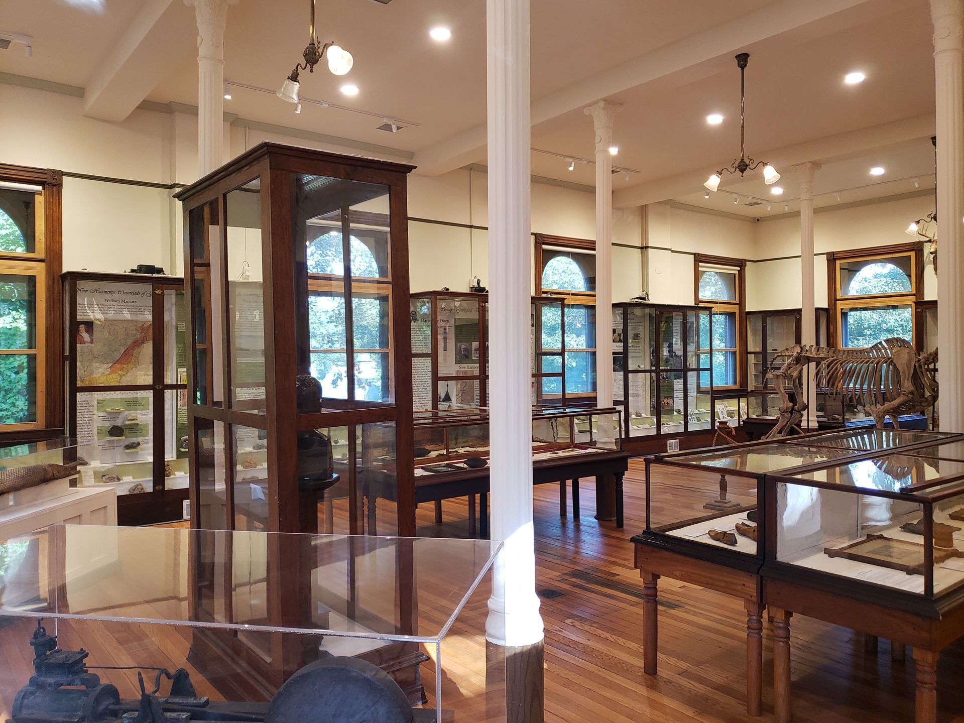 Museum exhibit hall with display cases, wood floors, and arched windows.