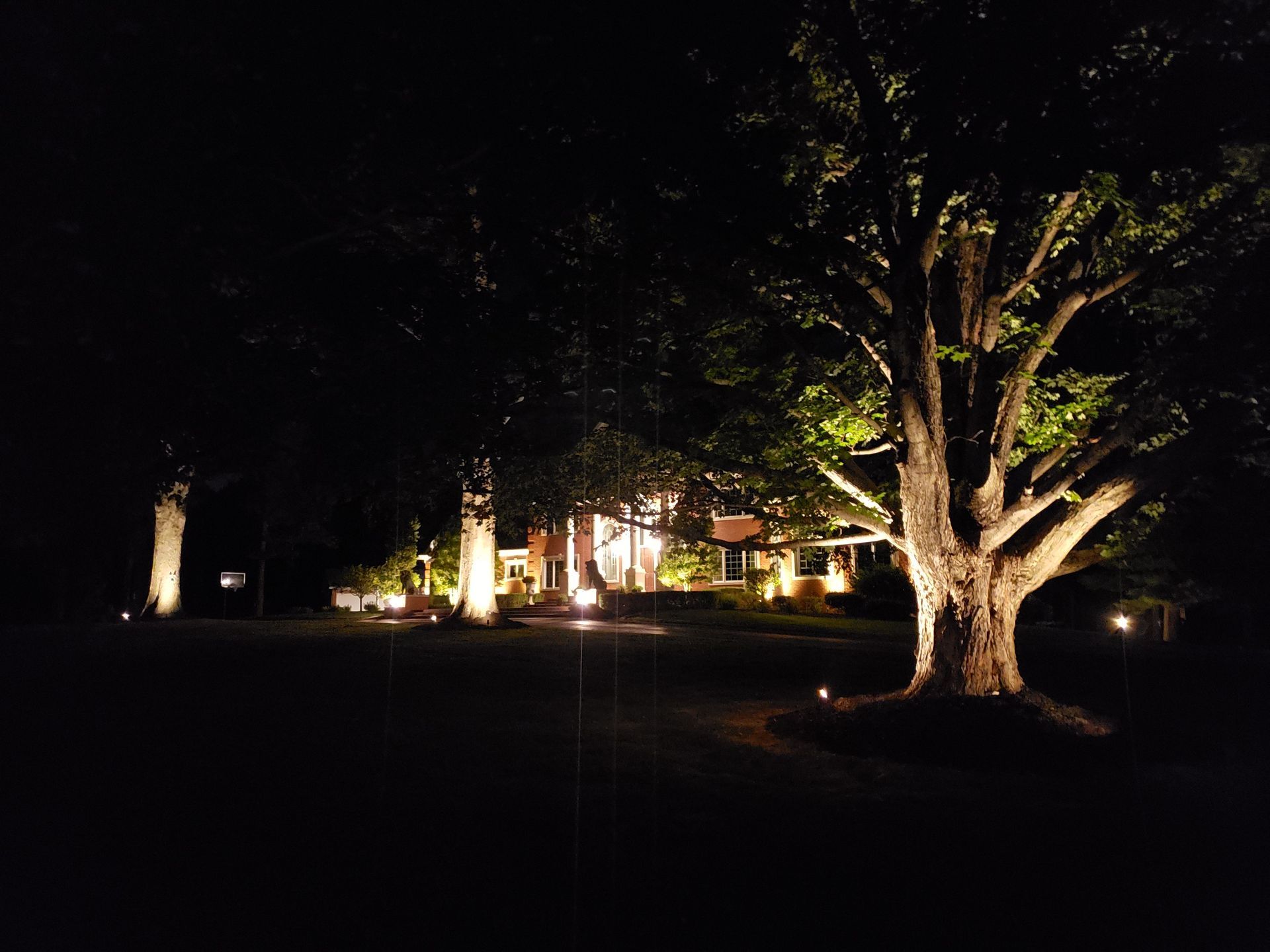 A house at night, illuminated by spotlights, with a large tree in the foreground.
