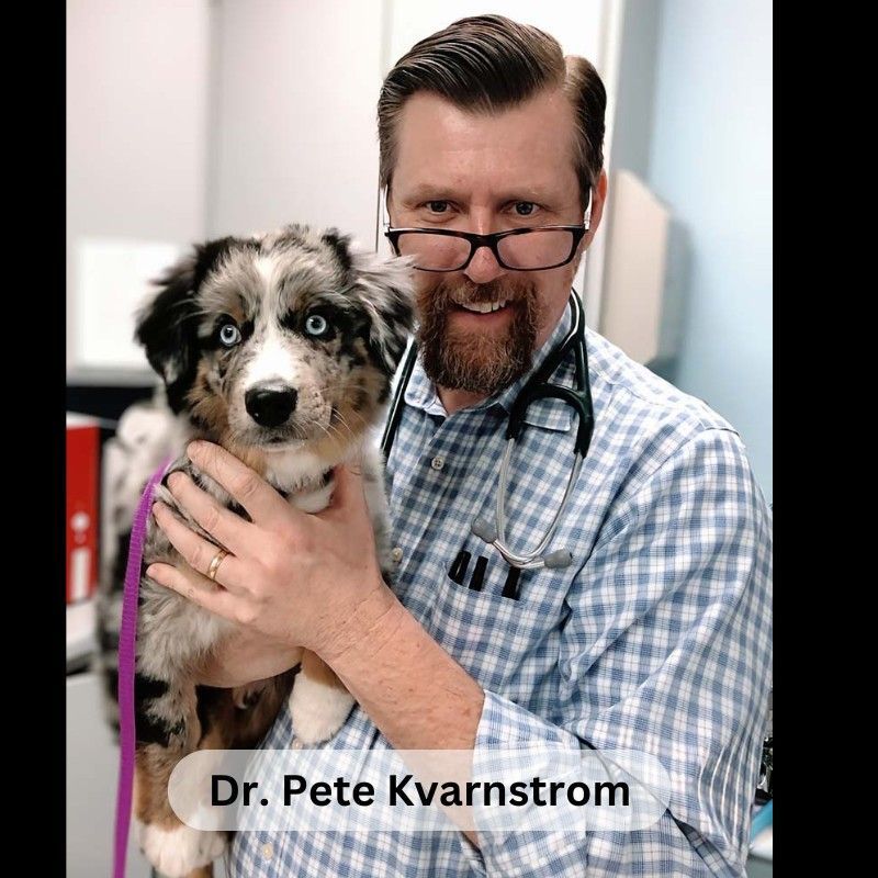 Dr. Pete Kvarnstrom