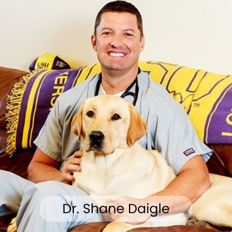 Dr. Shane Daigle