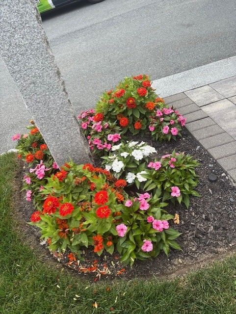 Red and pink flowers bloom around the base of a tree, with a grey trunk and brick border, next to a sidewalk.