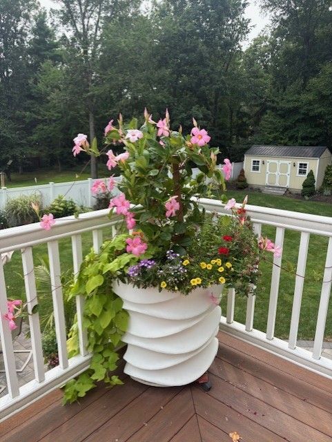 A large white decorative planter overflowing with pink flowers and green foliage sits on a wooden deck, with a backyard visible in the background.