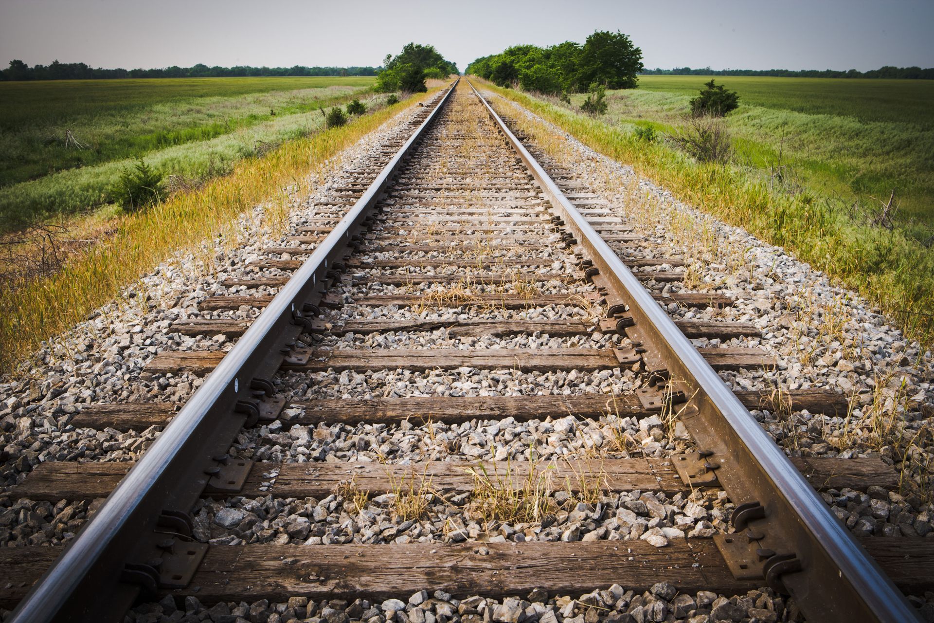 Railroad tracks extending into the distance through a field of green and yellow vegetation.