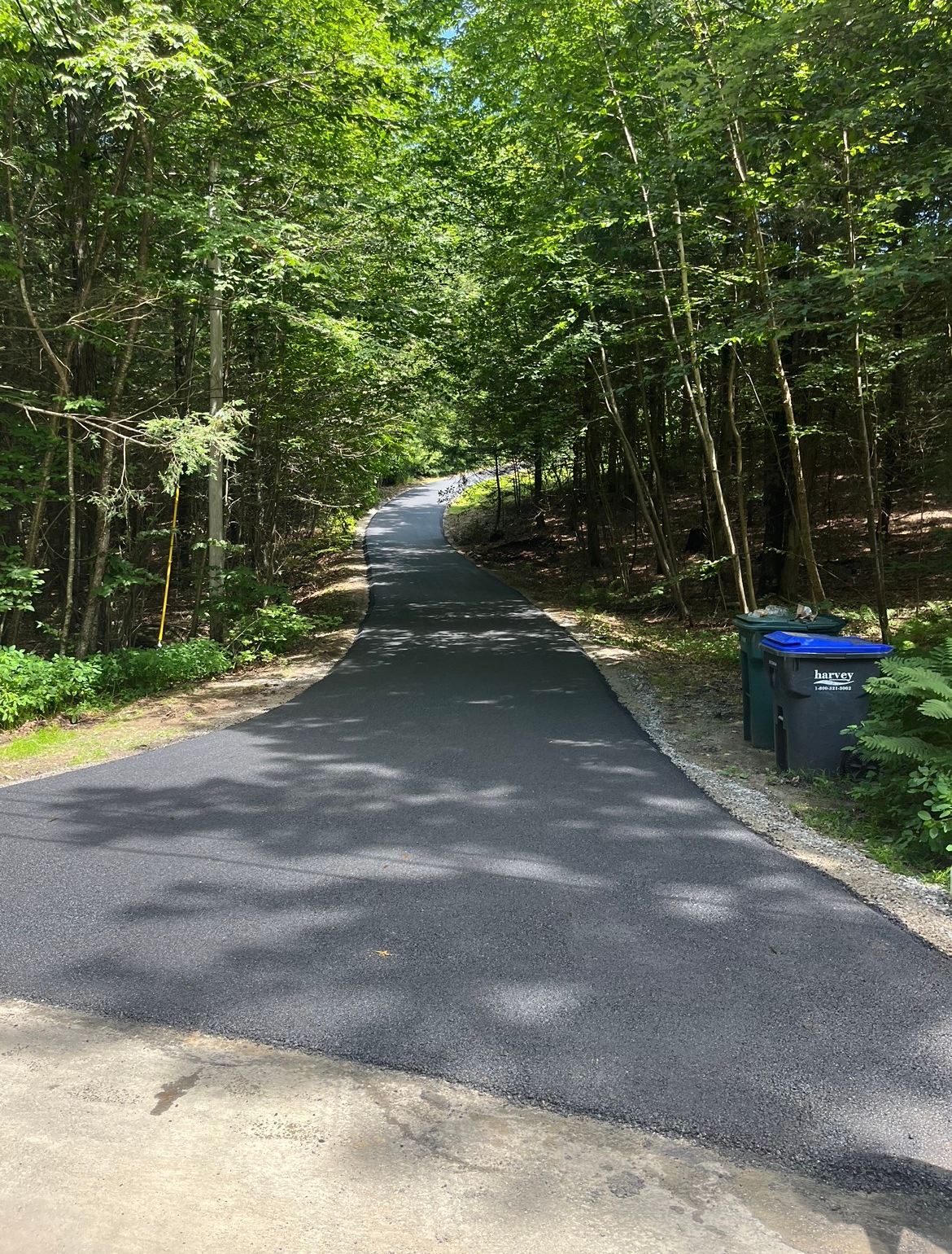 A road going through a forest with trees on both sides.