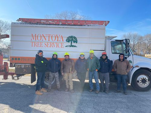 Tree service crew posing in front of a white work truck on a sunny day