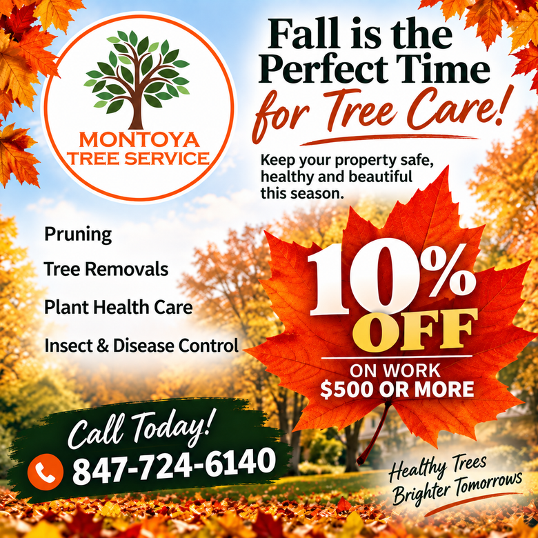 Montoya Tree Service ad with fall leaves, tree care services, and 10% off work $500+; call 847-724-6140