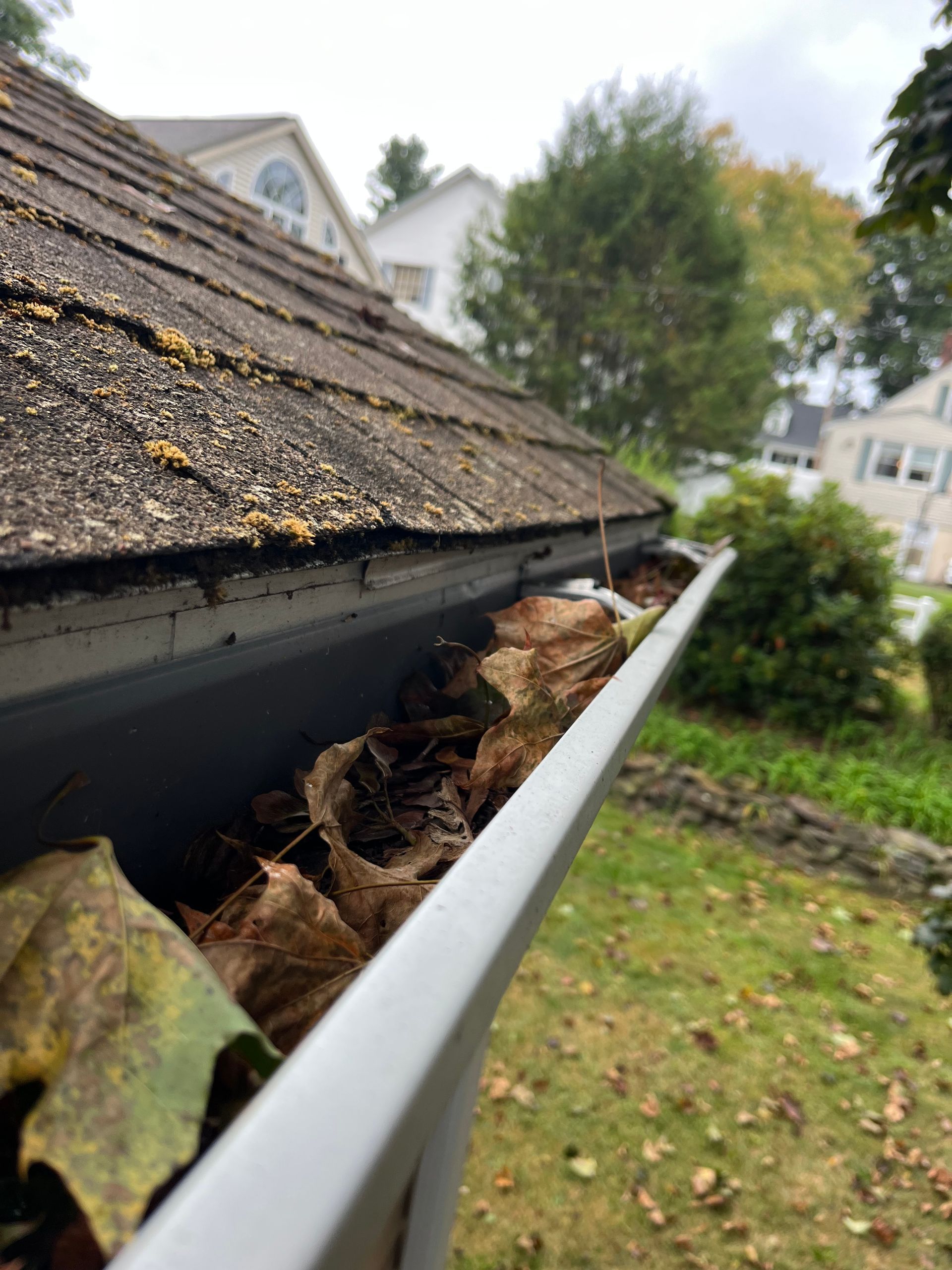 Close-up of a gutter filled with leaves beside a shingled roof on a house.
