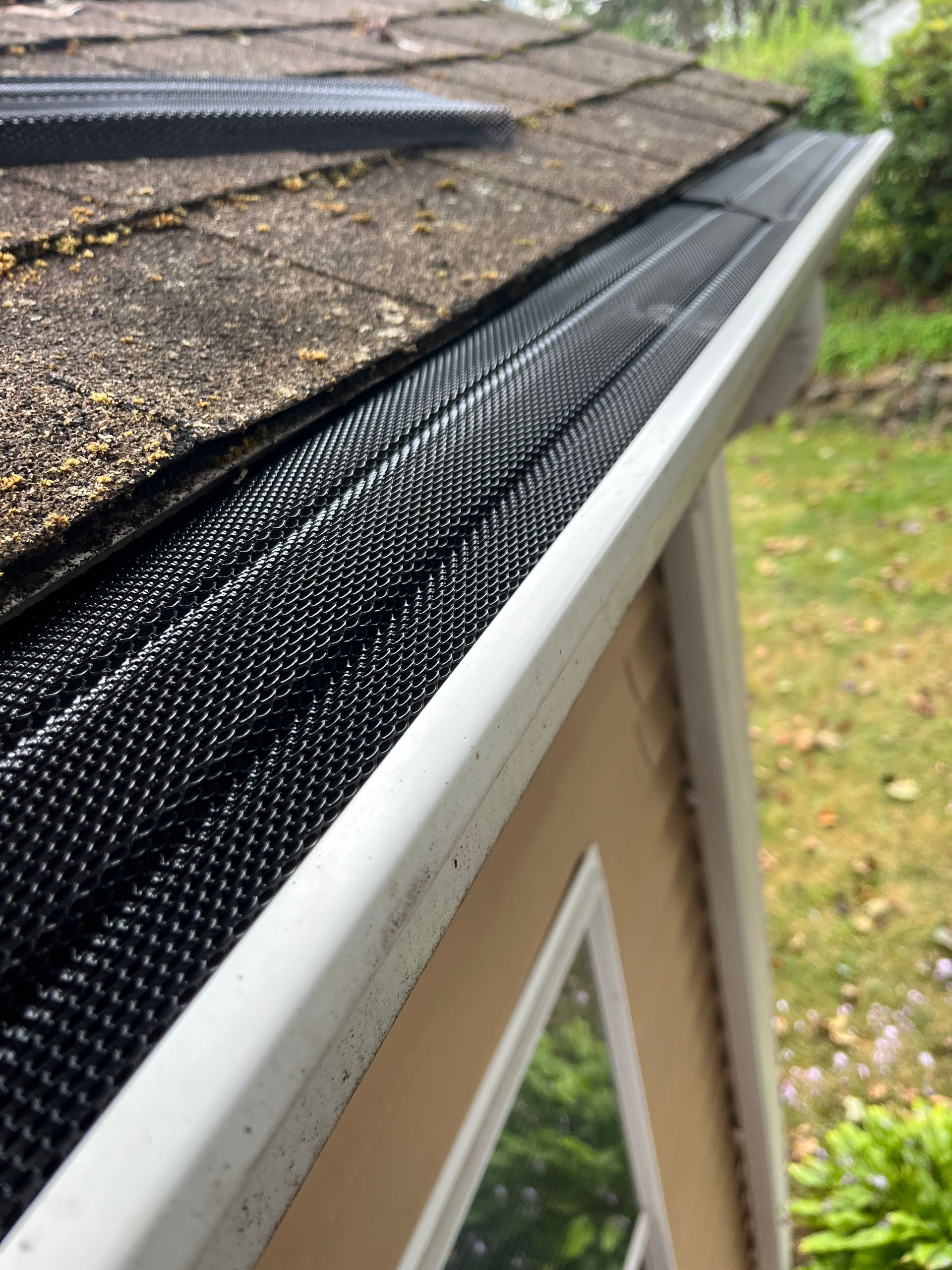 Roof edge with black gutter guard mesh along white trim and brown shingles.