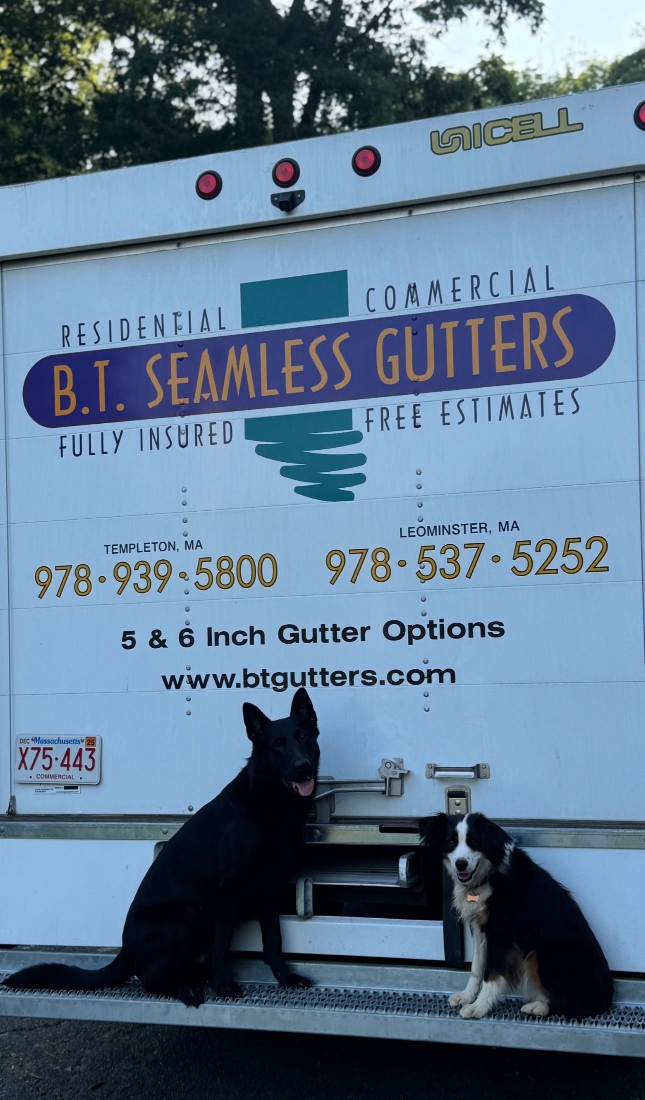 Two black-and-white cats sitting in front of a white B.I. Seamless Gutters truck sign.
