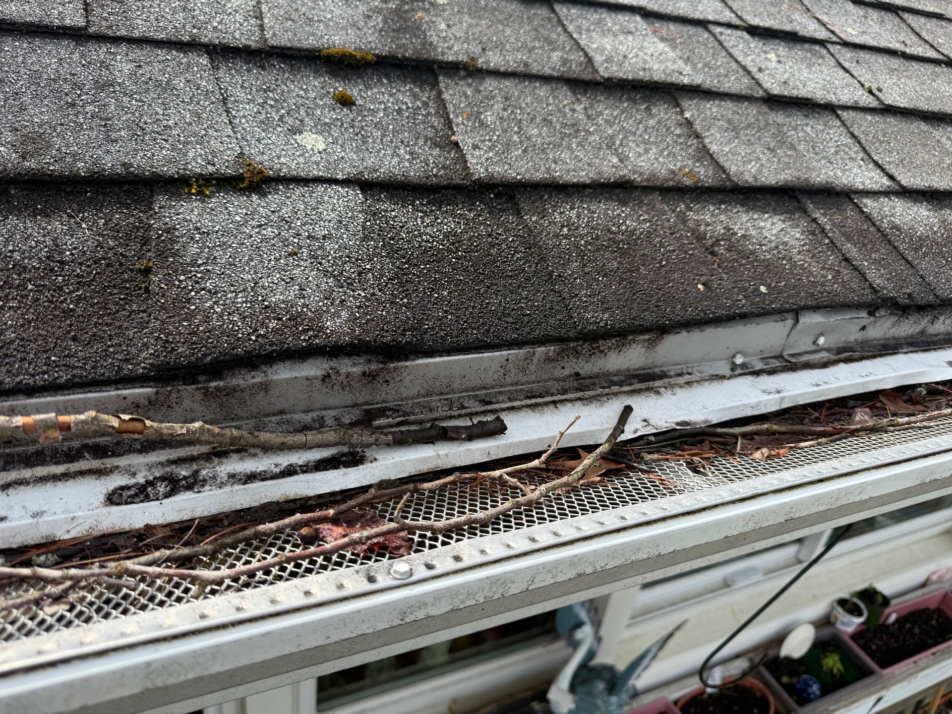 Damaged roof shingles with debris and a gutter clogged with leaves and water