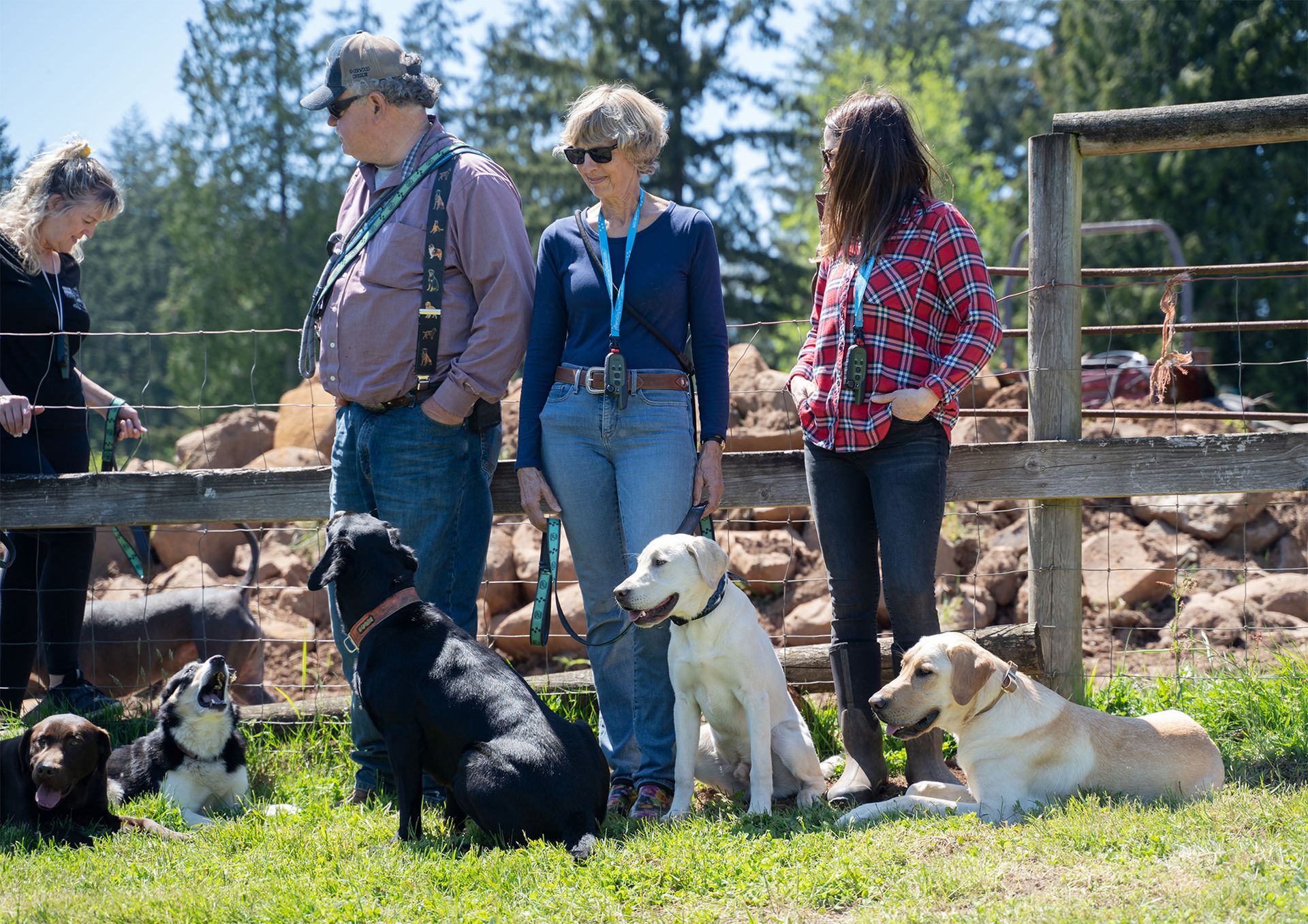 Dog training service